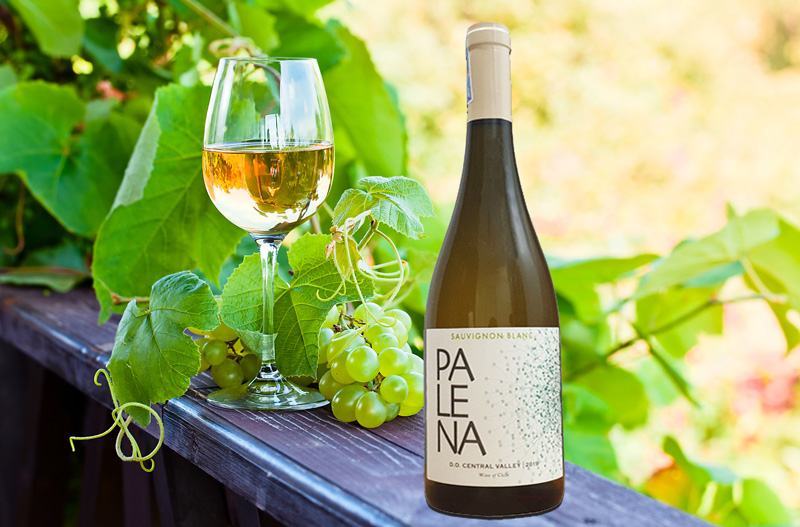 Rượu vang Palena sauvignon blanc