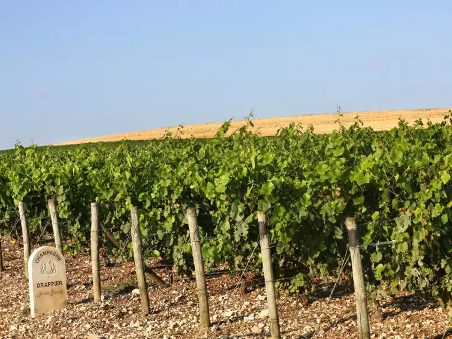 Rượu Champagne Drappier Ratafia de Champagne