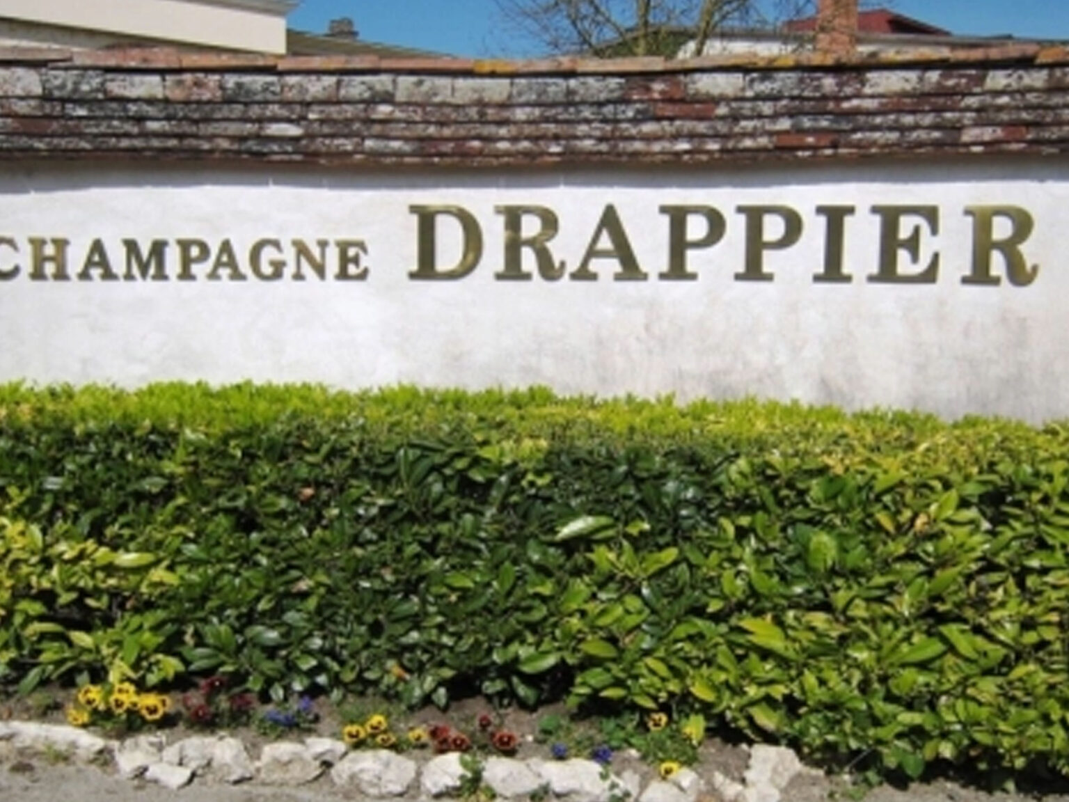 Rượu champagne drappier permission côteaux champenois red