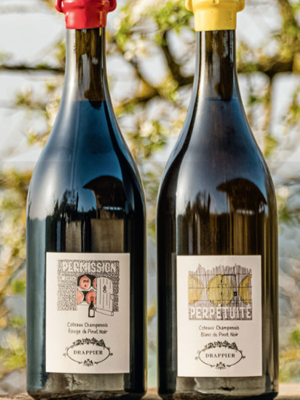 Rượu champagne drappier permission côteaux champenois red